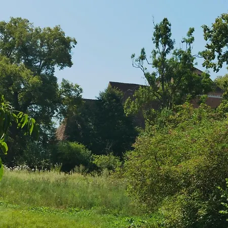 Grosszuegige In Mecklenburg Zwischen Wald Und Seen * Krakow am See