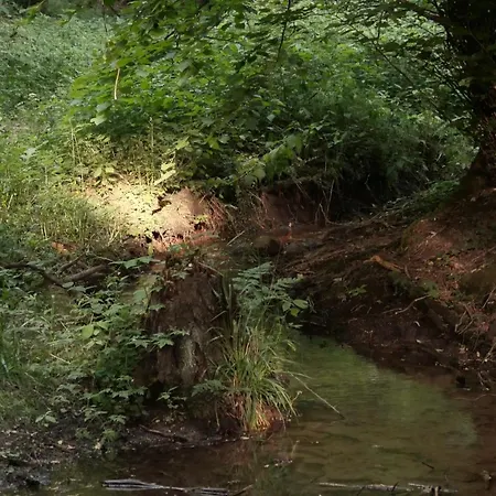 Grosszuegige In Mecklenburg Zwischen Wald Und Seen Lejlighed Krakow am See