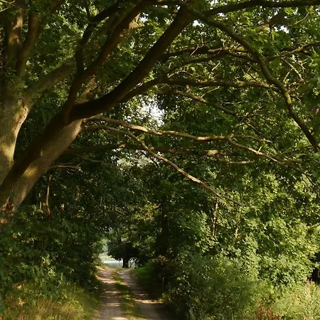 Apartment Grosszuegige In Mecklenburg Zwischen Wald Und Seen *