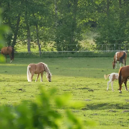 Grosszuegige In Mecklenburg Zwischen Wald Und Seen *