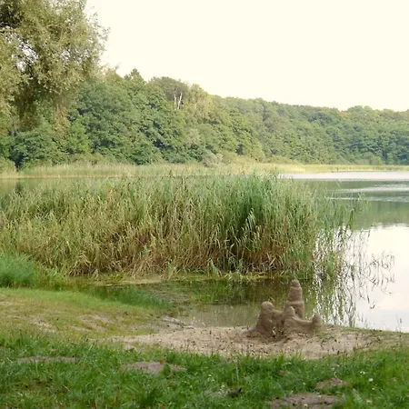 Grosszuegige In Mecklenburg Zwischen Wald Und Seen * Krakow am See