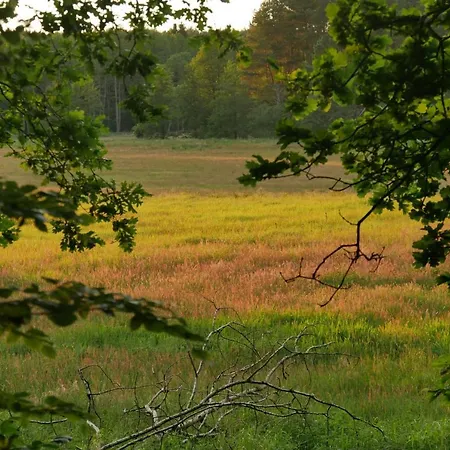 Grosszuegige In Mecklenburg Zwischen Wald Und Seen * Krakow am See