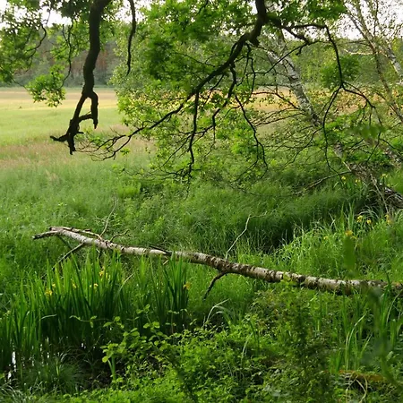 Grosszuegige In Mecklenburg Zwischen Wald Und Seen Lejlighed Krakow am See