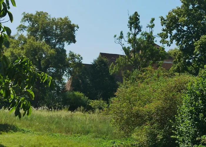 Großzügige In Mecklenburg Zwischen Wald Und Seen * Krakow am See
