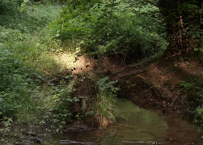 Großzügige In Mecklenburg Zwischen Wald Und Seen Apartamento Krakow am See