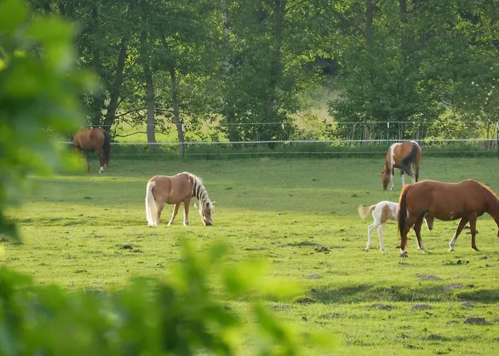 Großzügige In Mecklenburg Zwischen Wald Und Seen *