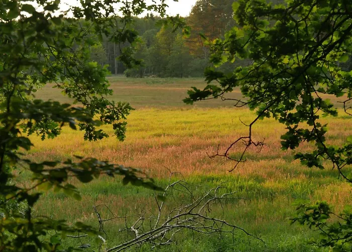 Großzügige In Mecklenburg Zwischen Wald Und Seen * Krakow am See