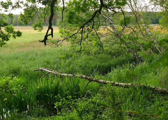 Großzügige In Mecklenburg Zwischen Wald Und Seen Apartamento Krakow am See